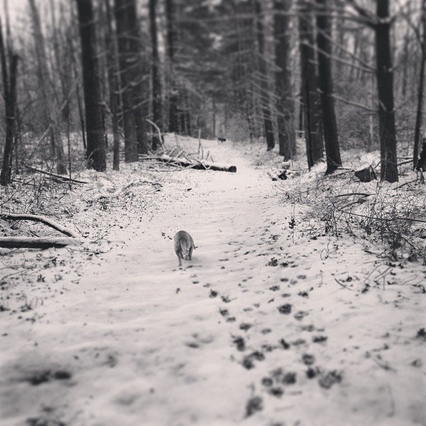 482105_630057777448_145936619_n