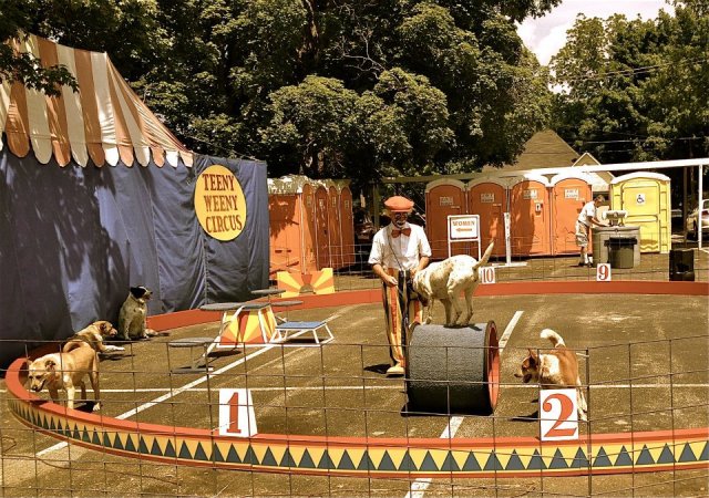 543087_601033652028_984066517_n