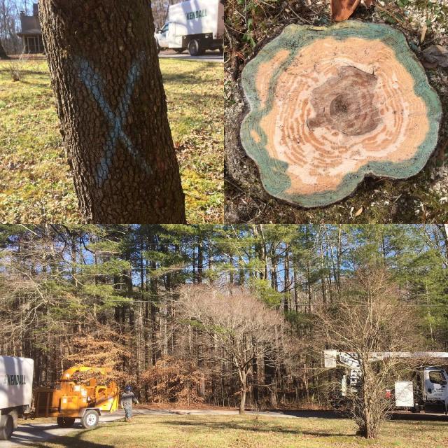 81696119_10100179965265408_6017978183675019264_o